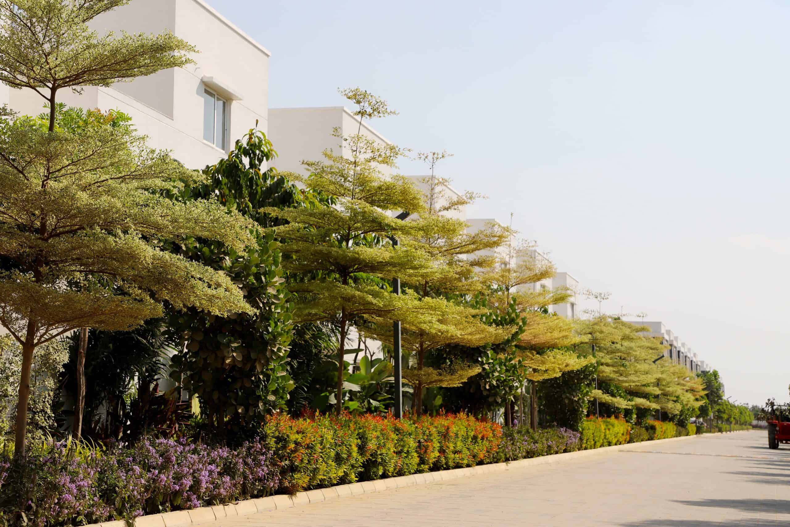 Luxury Villas in Osman Nagar