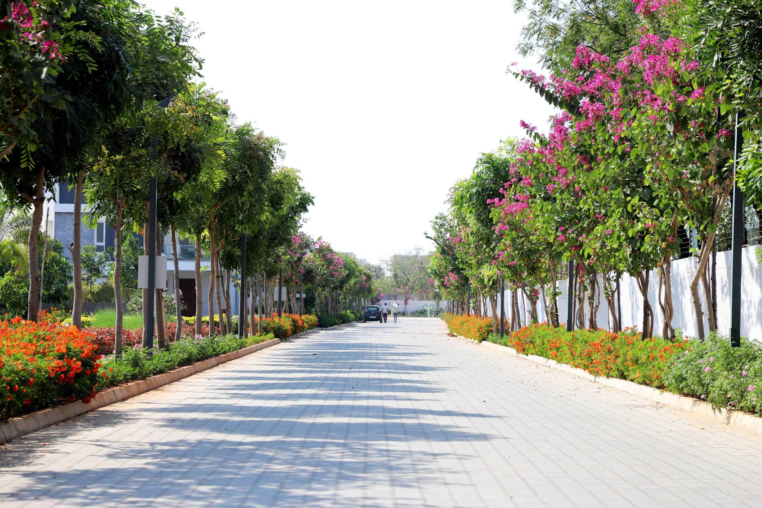 Luxury Villas in Osman Nagar